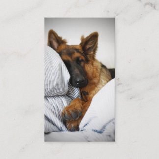 Dogs Hotel Business Card