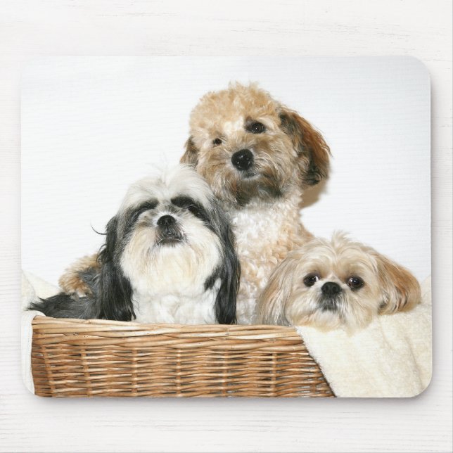 Dogs in a basket mouse mat (Front)