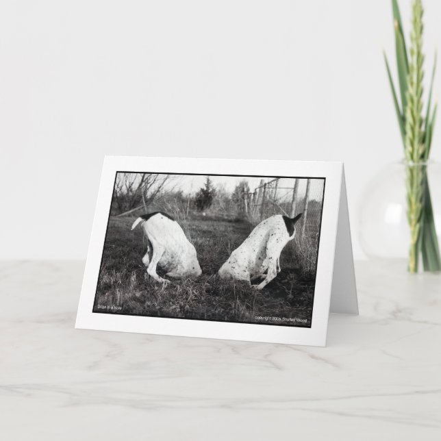 Dogs in a Hole Card (Front)