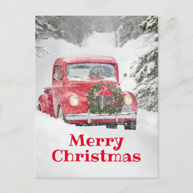 Dogs in a Truck Invitation Postcard (Front)