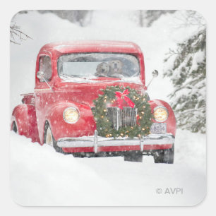 Dogs in a Truck Square Sticker