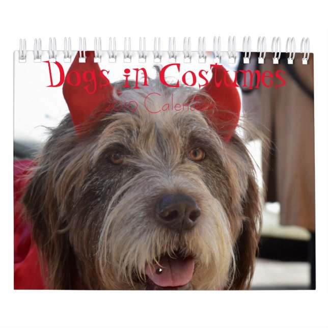 Dogs in Costumes 2019 Calendar (Cover)