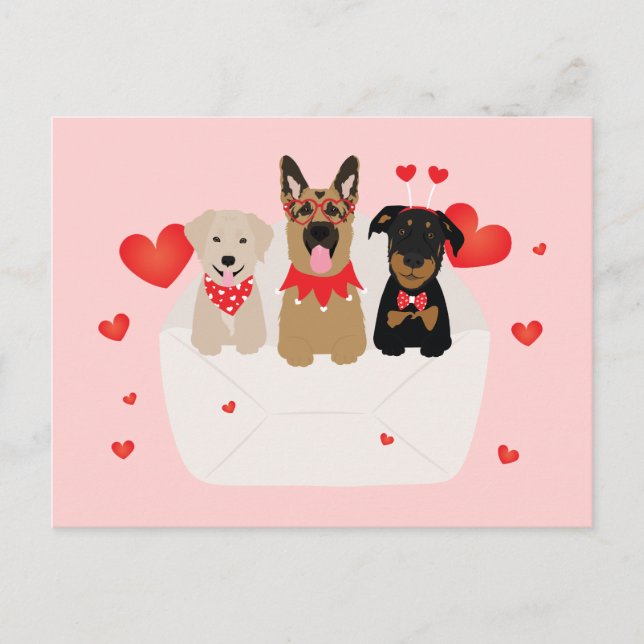 Dogs In Envelope Love Postcard (Front)