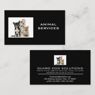 Dogs in Group Business Card