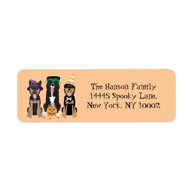 Dogs In Halloween Costumes (Front)