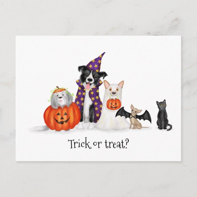 Dogs in Halloween costumes postcard (Front)