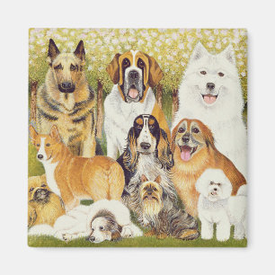 Dogs in May Magnet