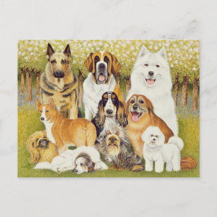 Dogs in May Postcard