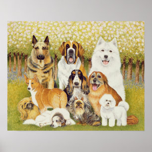 Dogs in May Poster