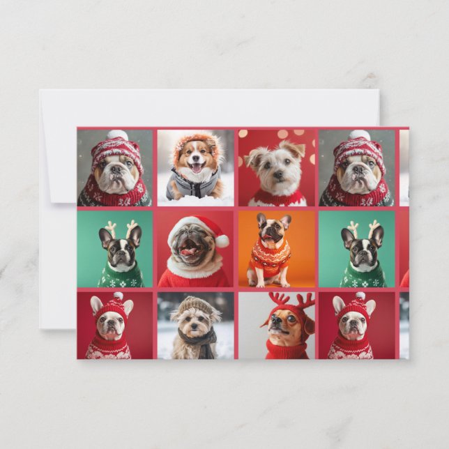 Dogs in Sweaters Thank You Card (Front)