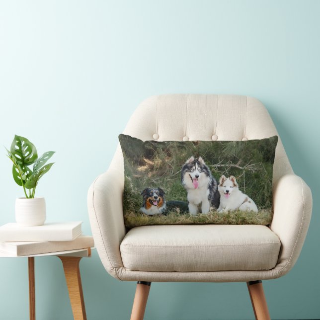 Dogs in the Prairie Custom 2 Photos Lumbar Cushion (Chair)