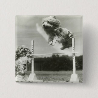 Dogs jumping over miniature high jump bar 15 cm square badge