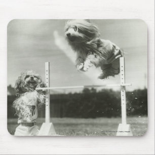 Dogs jumping over miniature high jump bar mouse mat