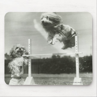 Dogs jumping over miniature high jump bar mouse mat