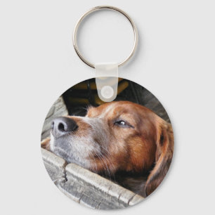 DOGS KEY RING