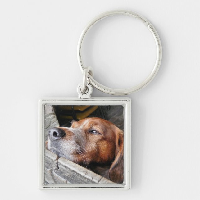 DOGS KEY RING (Front)