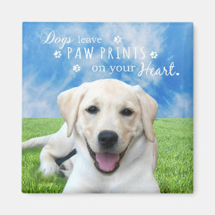 Dogs leave paw prints on your heart magnet