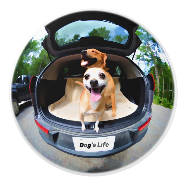 Dog's Life Fish-eye Lens Cute Funny Ceramic Knob (Front)