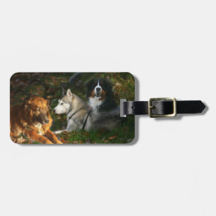 Dogs Luggage Tag