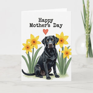 Dogs Mothers Day Card