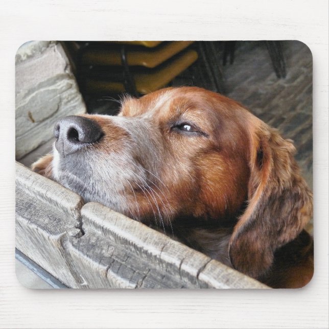 DOGS MOUSE MAT (Front)