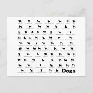 Dogs Name Postcard