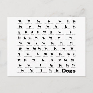 Dogs Name Postcard