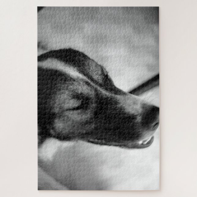 Dog's Night Out Jigsaw Puzzle (Vertical)