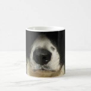 Dog's nose close up coffee mug