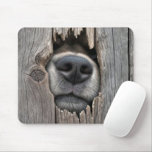 Dog's Nose In Wooden Fence Mouse Mat