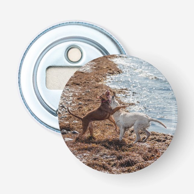Dogs on beach bottle opener (Front)