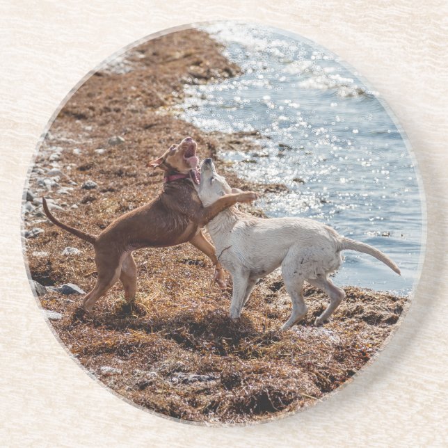 Dogs on beach coaster (Front)