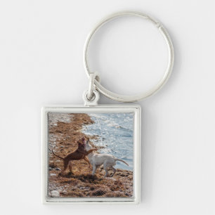 Dogs on beach key ring
