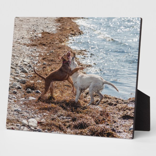 Dogs on beach plaque (Side)