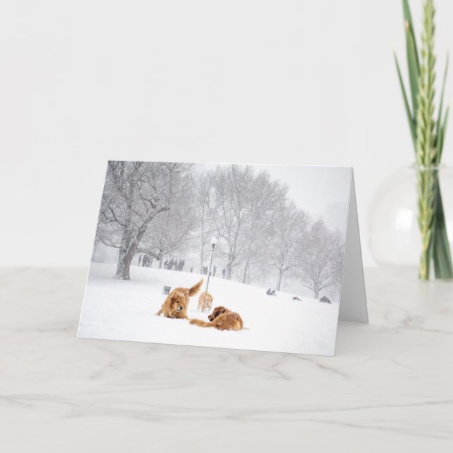 Dogs on Boston Common greeting card (Front)