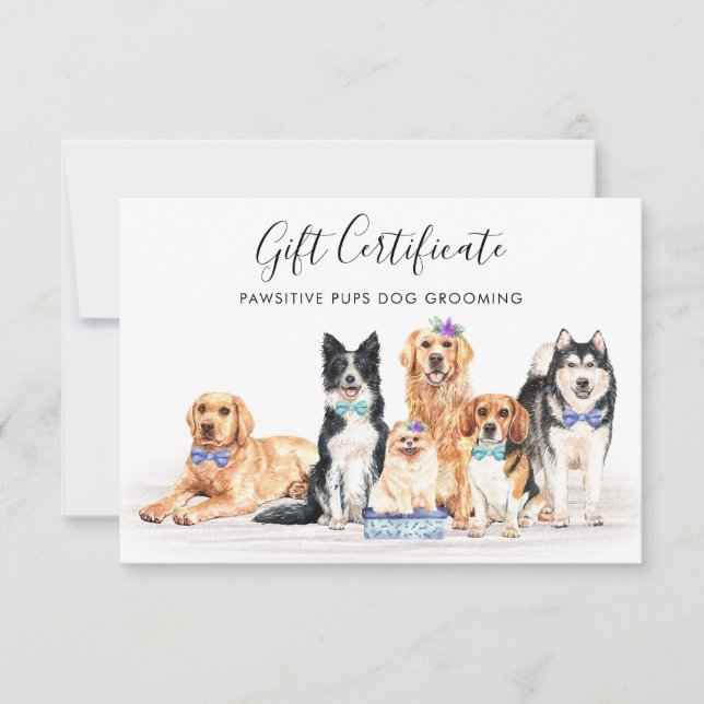 Dogs Pet Care Dog Trainer Groomer Gift Certificate (Front)