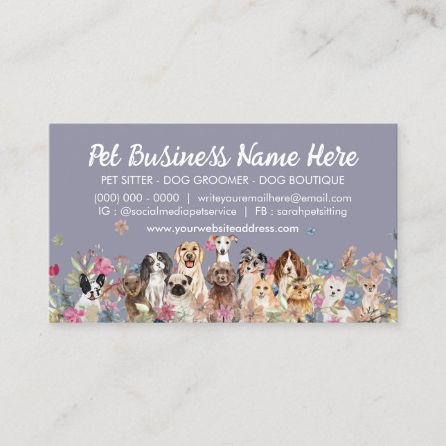 Dogs Pet Sitting Groomer Walker Trainer Business Card (Front)