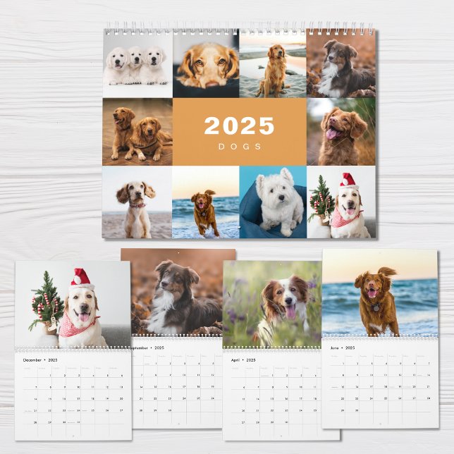 Dogs Photo Collage Modern 2025 Calendar (Creator Uploaded)