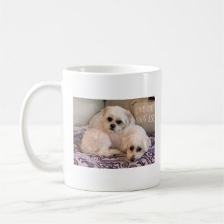 Dogs Photo Cute Maltese and Shih Tzu Coffee Mug