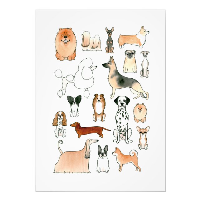 Dogs Photo Print (Front)