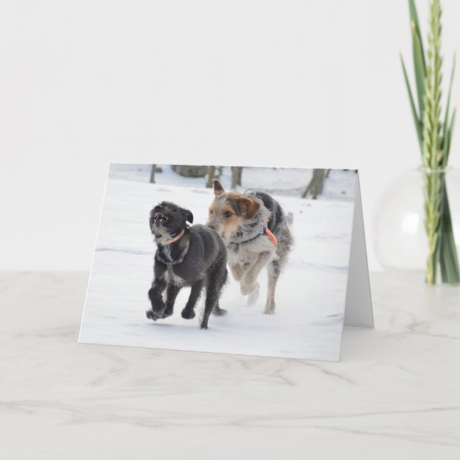 Dogs playing in the snow Christmas Holiday Card (Front)