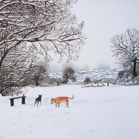 Dogs playing in the snow scene landscape