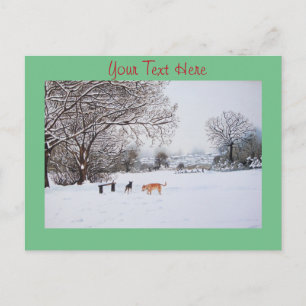 dogs playing in the snow scene winter landscape postcard