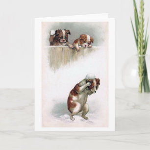 "Dogs playing Snowballs" Vintage Holiday Card
