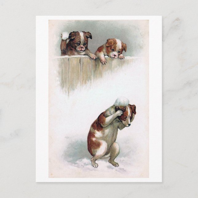 "Dogs playing Snowballs" Vintage Postcard (Front)