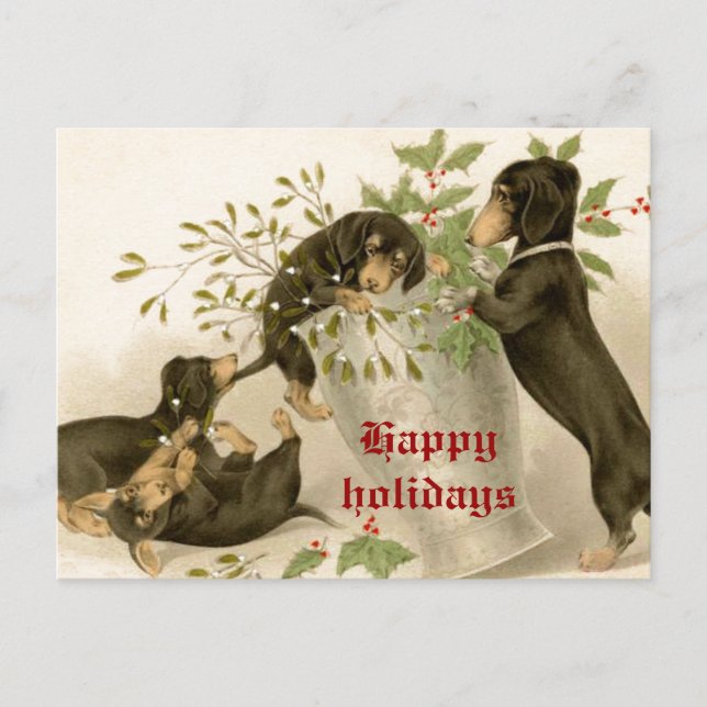 Dogs playing with Christmas mistletoe & holy berry Holiday Postcard (Front)