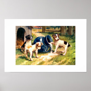 Dogs Poster