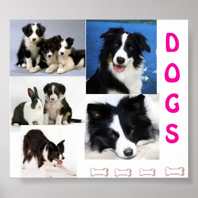 DOGS poster (Front)