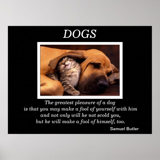 DOGS Posters 3 (Front)