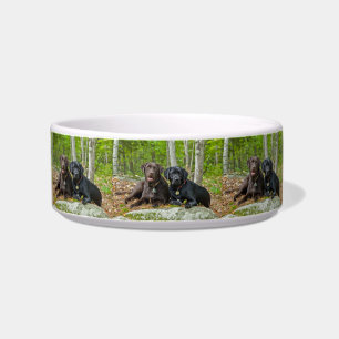Dogs Puppies Black Lab Chocolate Labrador Retrieve Bowl